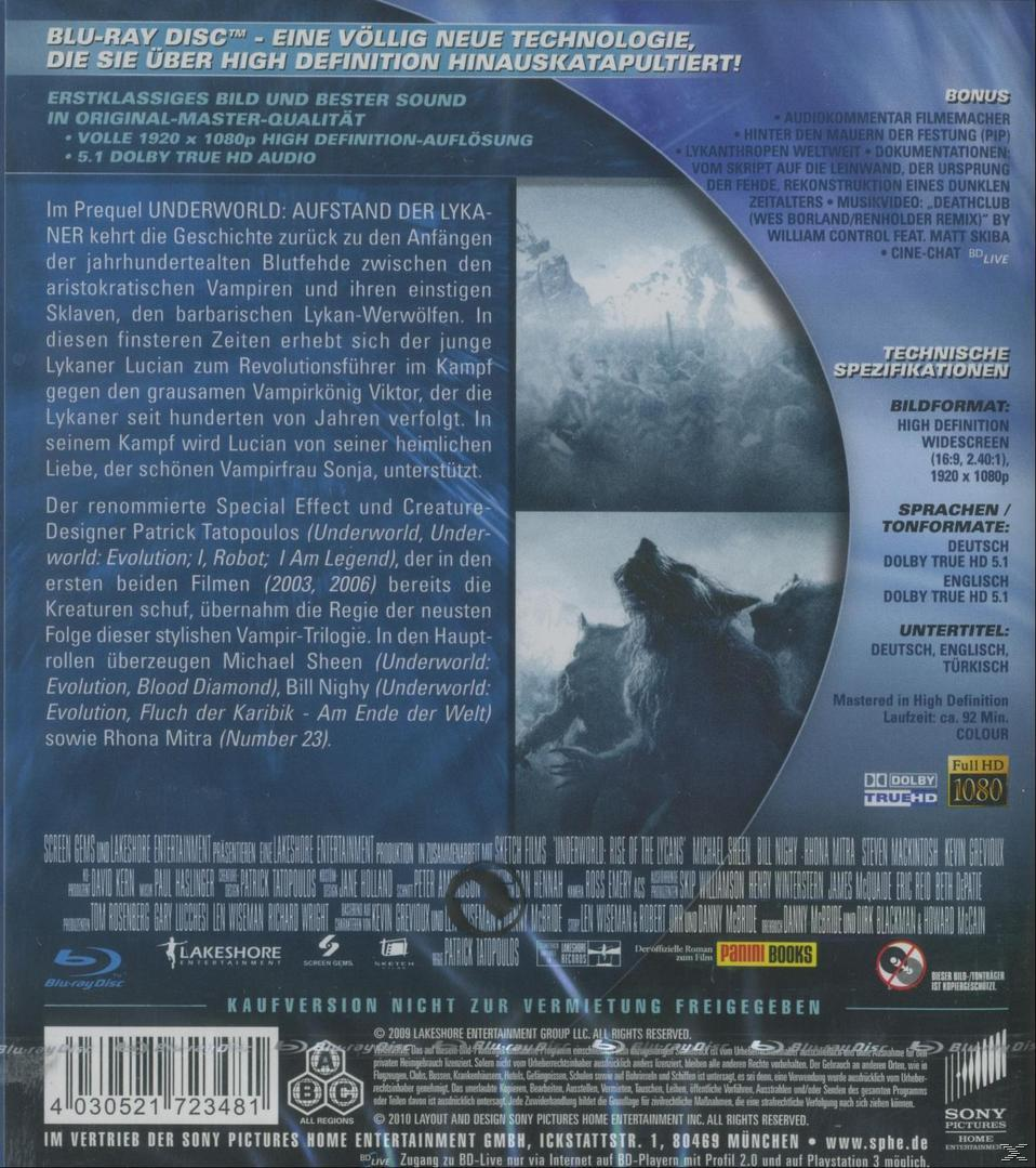 DVD-Rückseite, Text, Wolfsbild und Schneelandschaft. Titel: Underworld: Rise of the Lycans.