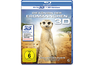 Galgenmännchen Online Multiplayer Galgenmännchen Online Multiplayer