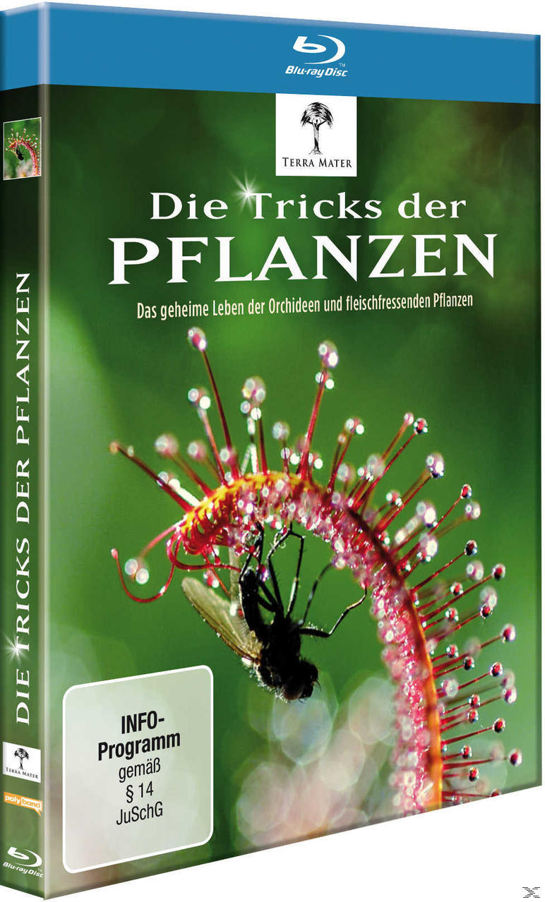 Die Tricks der Pflanzen [Blu-ray]