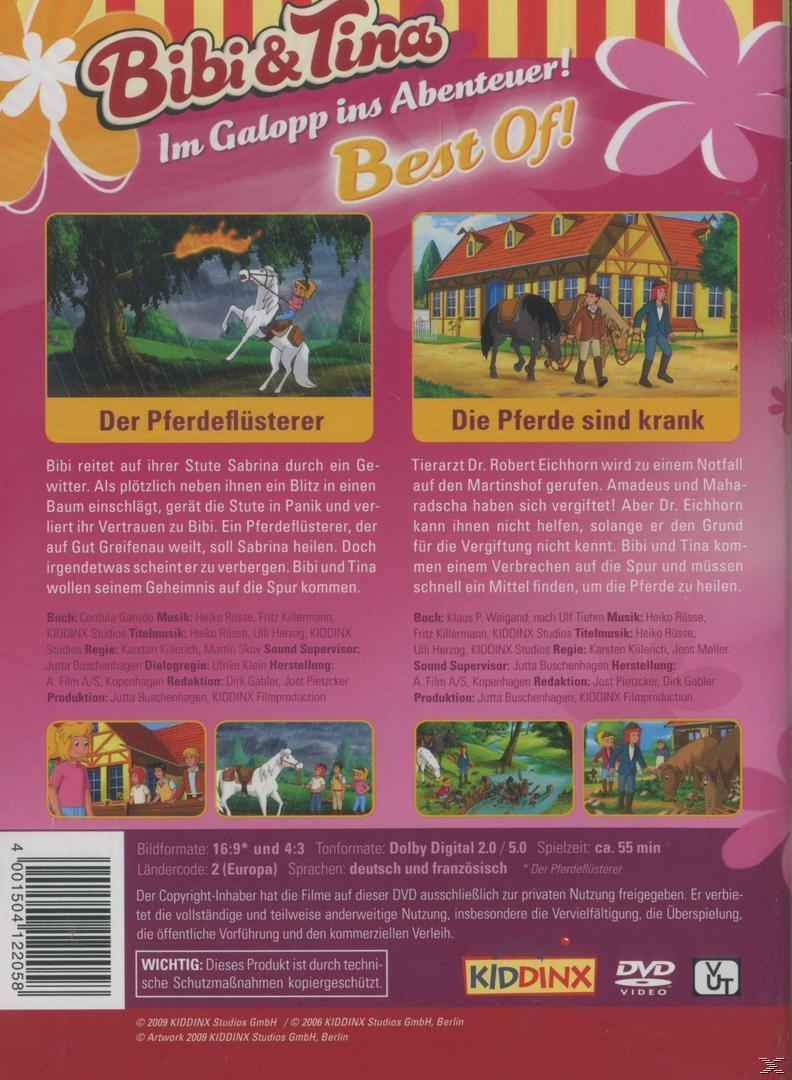Rückseite der 'Bibi & Tina' DVD. Bilder von Pferden, Reitern und Text zur Story.