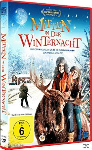 Mitten in der DVD Winternacht
