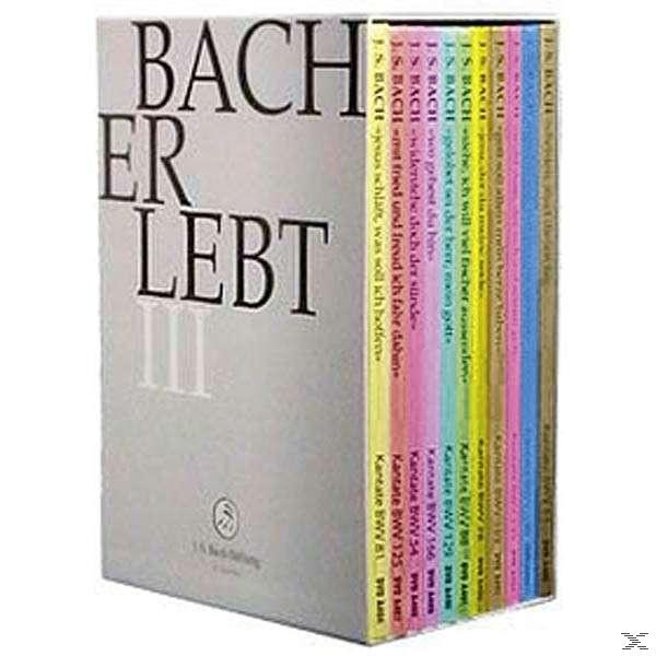 CHOR & J.S. ORCHESTER BACH-STIF Bach DER Erlebt Iii (DVD) - 