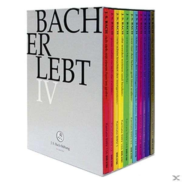 Bach BACH-STIF - Lebt CHOR J.S. Er ORCHESTER & - DER Iv (DVD)