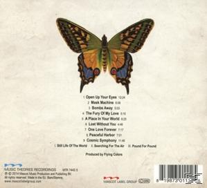 Ein Schmetterling mit gelben, blauen und braunen Flügeln befindet sich über einer Liste von Titeln auf hellem Grund.