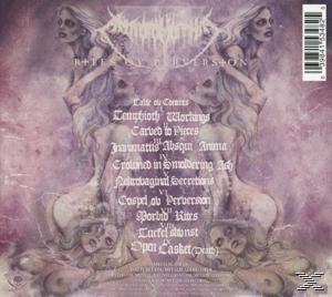 Albumcover. Zwei weibliche Figuren mit langen Haaren, die sich gegenüberstehen. Text in der Mitte und oben sowie Barcode.