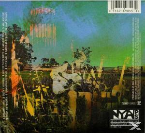 Neil Young | Dreamin