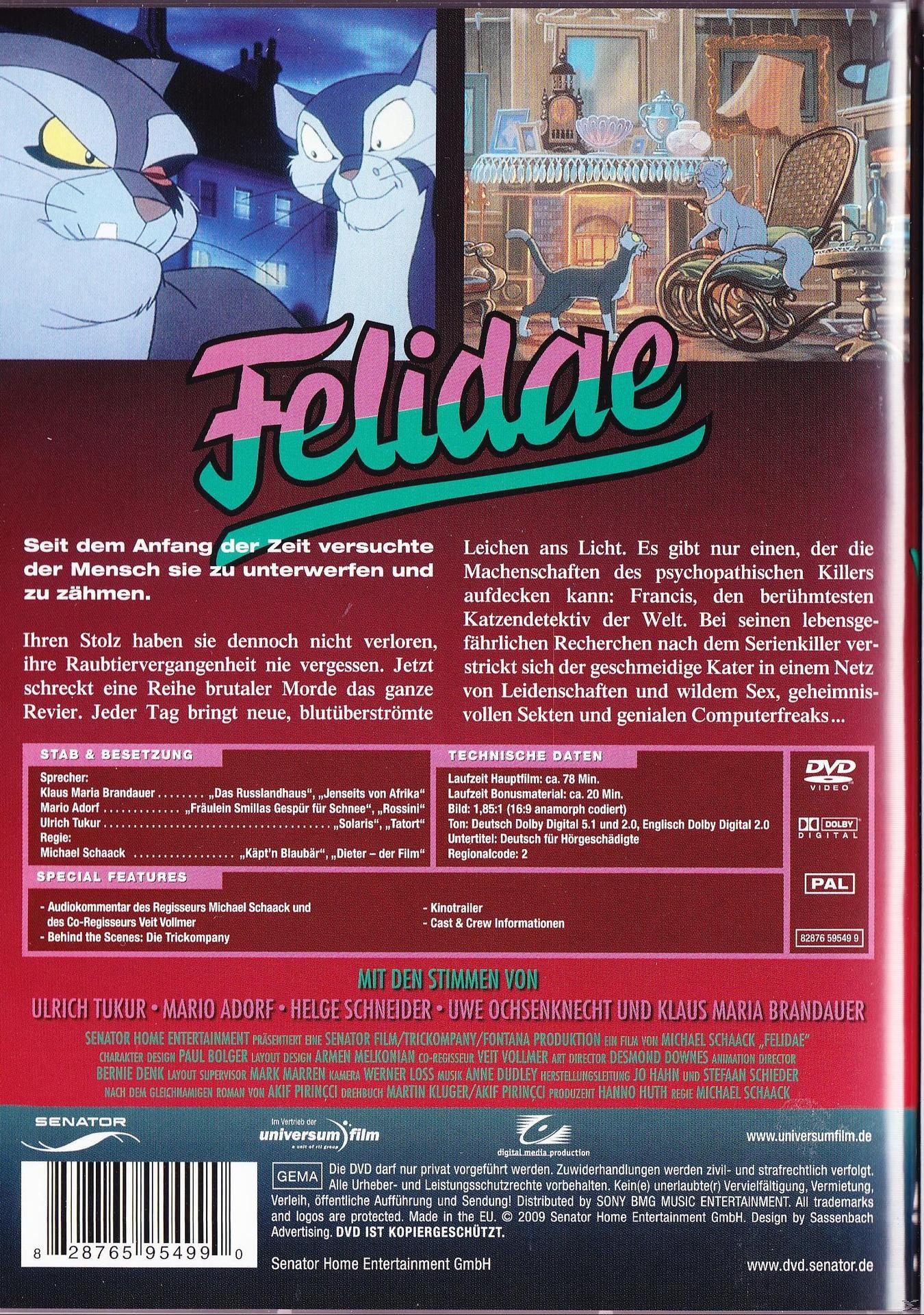 Felidae DVD