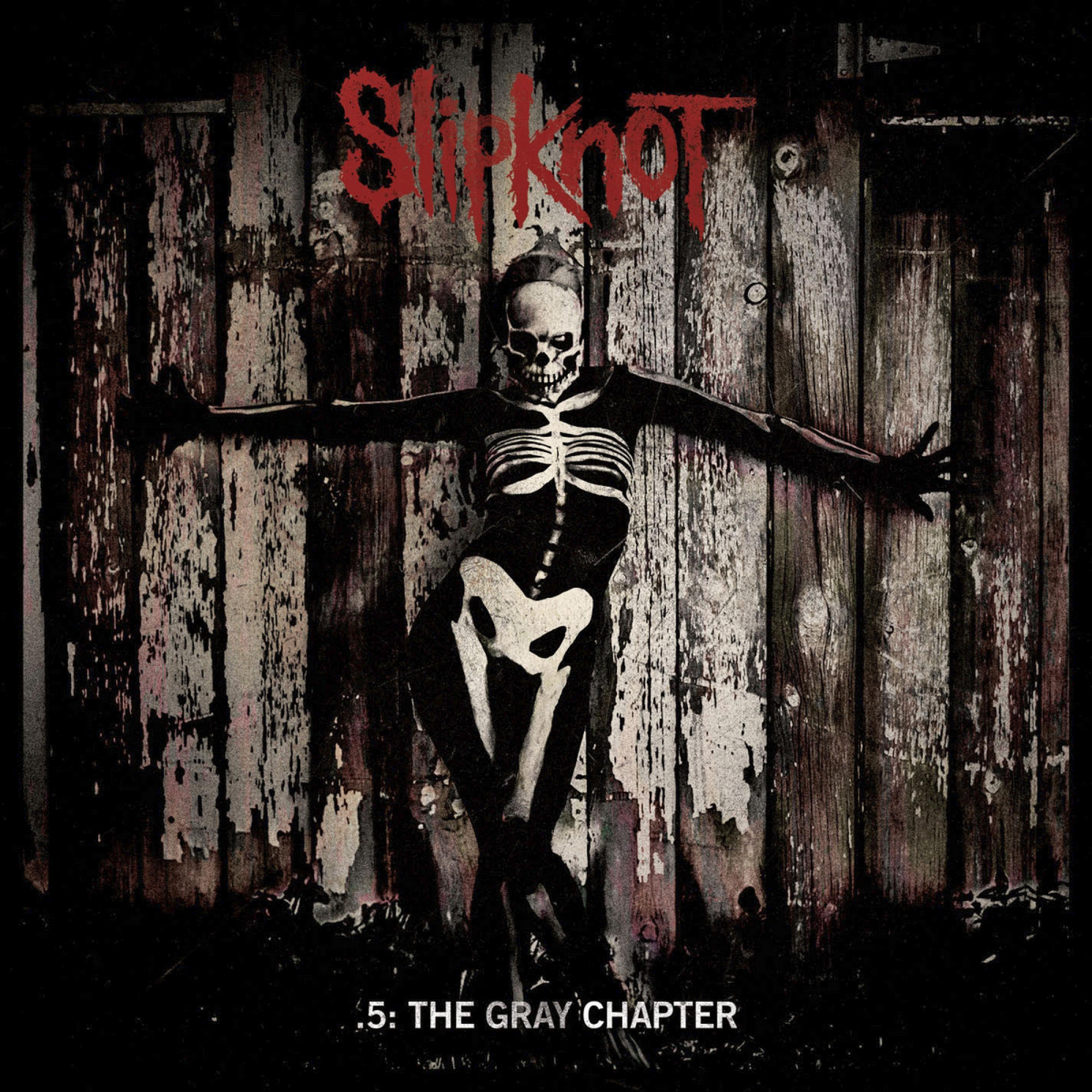 Albumcover: Eine Person im Skelettkostüm vor einer Holzwand. Text: :5: THE GRAY CHAPTER.