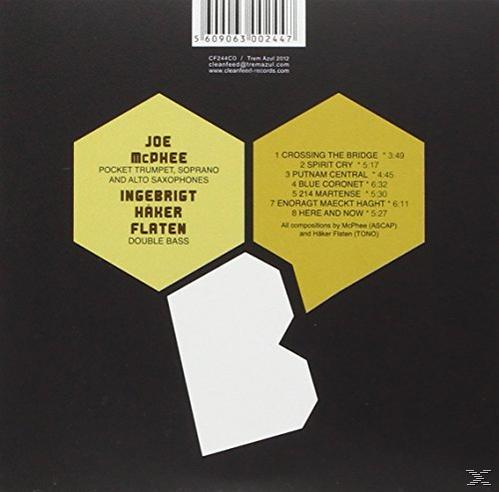Joe McPhee, Ingebrigt Haker Flaten - Brooklyn DNA  - (CD)