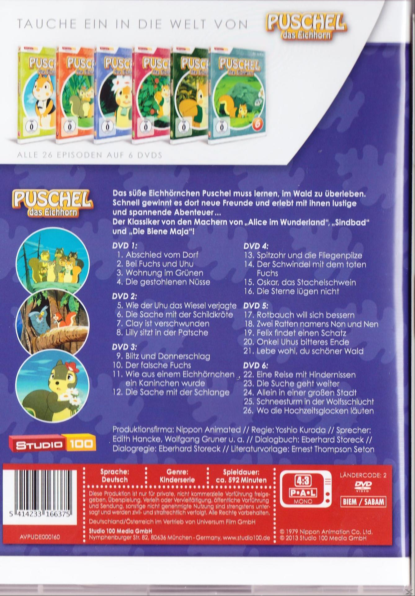 DVD-Hülle für Puschel das Eichhörnchen. Enthält mehrere Cartoon-Bilder und Text.