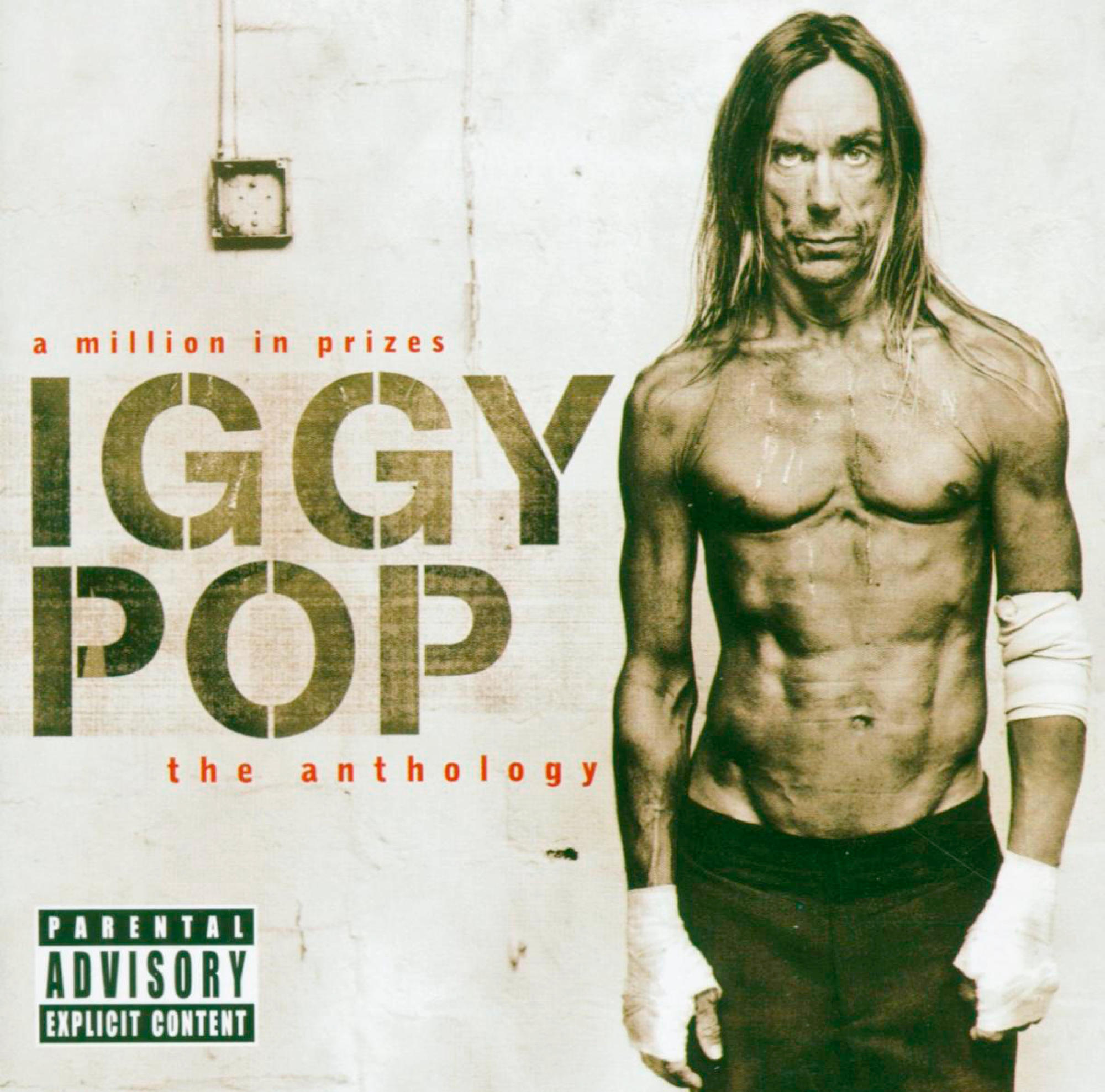 Albumhoes van Iggy Pop. Iggy Pop staat ontbloot met een gespierd lichaam. Tekst: 'a million in prizes' en 'Iggy Pop'.