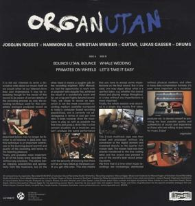 Orangutan, Organutan - ENDANGERED SOUNDS  - (Vinyl)