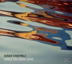 Sonar Ensemble - While you were gone  - (CD)