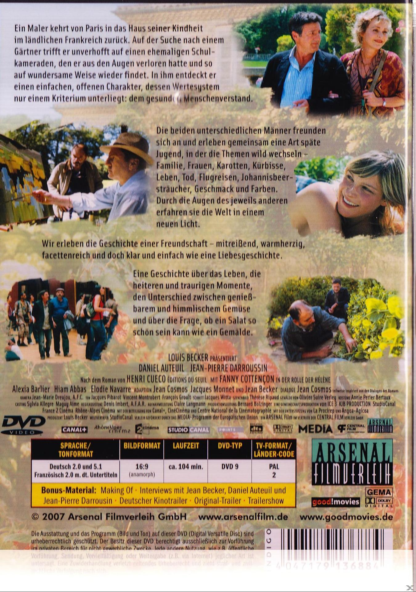 DVD-Hülle. Ein Filmplakat mit Schauspielern und Text. Der Hintergrund ist ein Filmset.