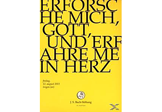 CHOR & ORCHESTER DER J.S. BACH-STIF - Erforsche Mich, Gott, Und Erfahre  - (DVD)