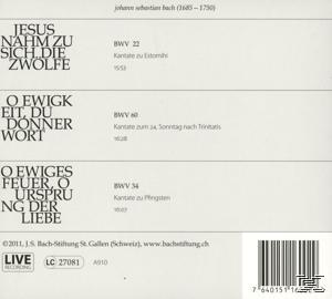 CHOR & ORCHESTER DER J.S. BACH-STIF - Kantaten No°2  - (CD)