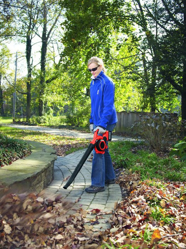BLACK+DECKER GWC 3600 L20 Laubsauger Orange/Schwarz