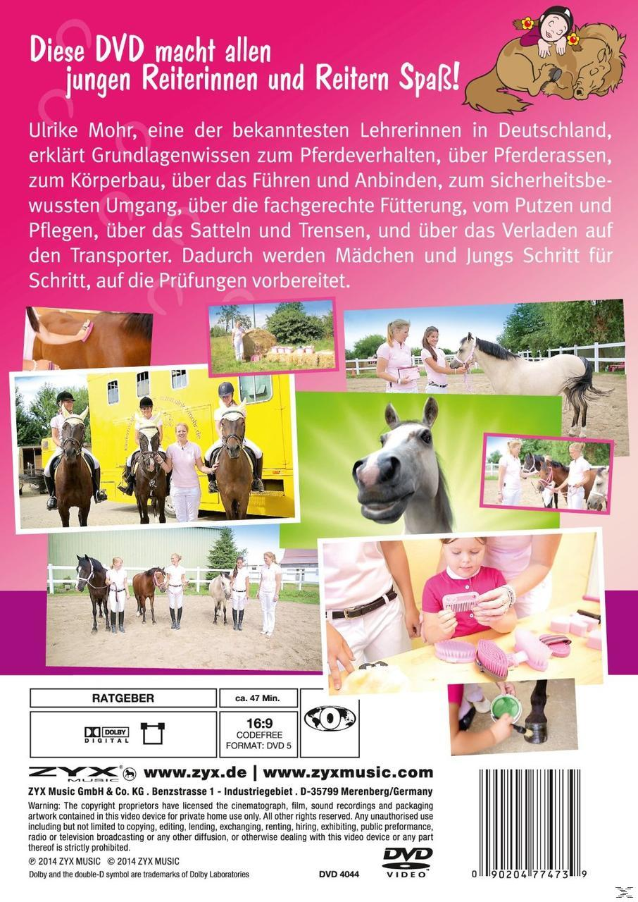 Der DVD Pony - Ich Ponyführerschein Kleines Mein &