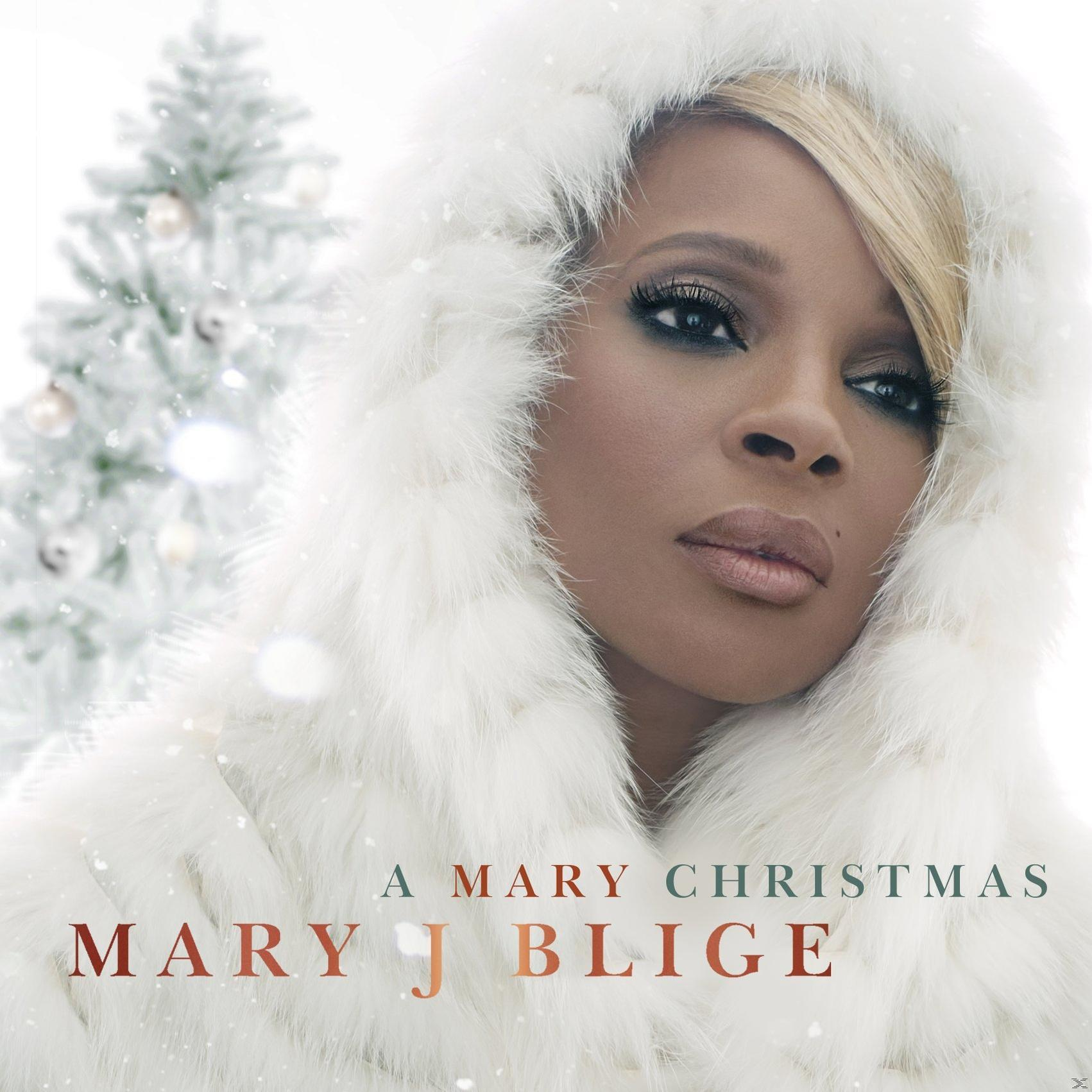 Album borítója, Mary J. Blige fehér bundás kapucniban, téli jelenet, címszöveg.