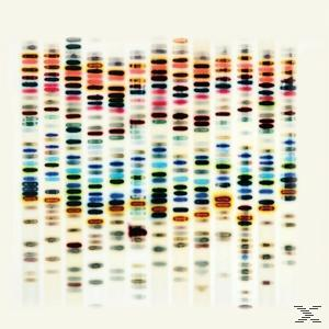 St 37 - I'm Not Good  - (CD)