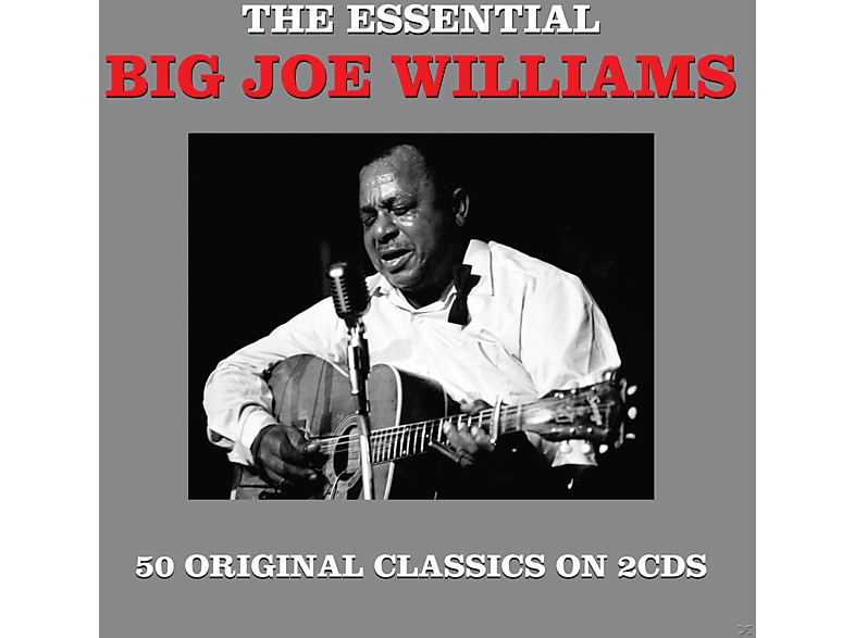 Big Joe Williams - Essential  - (CD)