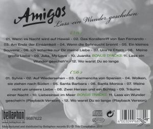 Rückseite eines Albums mit deutschem Text über eine Liedersammlung.