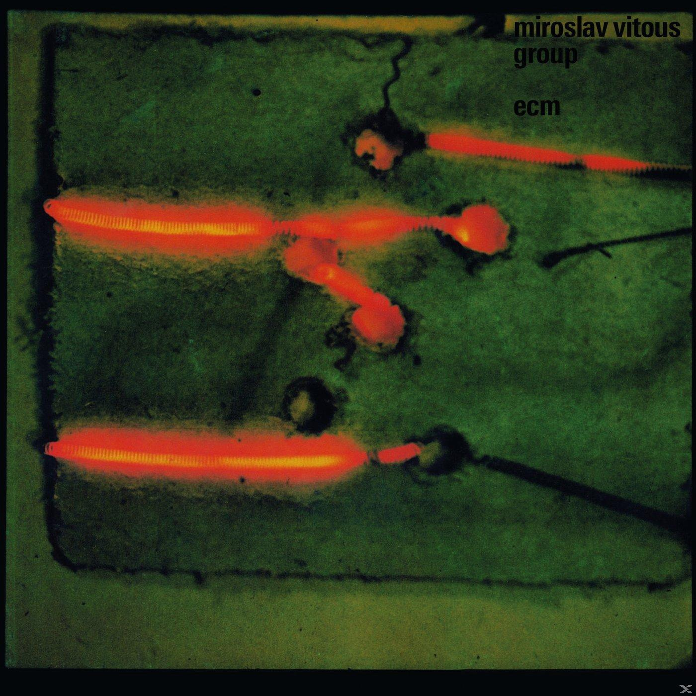 Miroslav Group Vitous - (Vinyl) Vitous Miroslav - Group