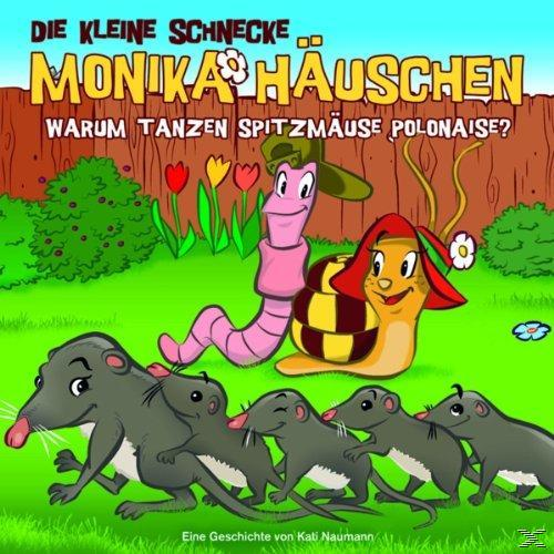 Die Kleine Schnecke 36: (CD) Die Schnecke - Häuschen Monika Warum kleine Polonaise? Häuschen Monika - Spitzmäuse tanzen