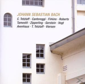 VARIOUS - Bach: Brandenb.Kon.6,Trio,Gamben-  - (CD)