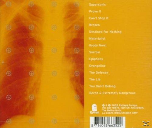Bad Religion - The Process Of Belief  - (CD)