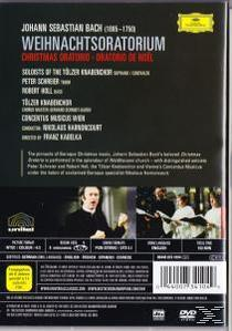 - (GA) Concentus WEIHNACHTS-ORATORIUM - (DVD) Wien Knabenchor, Tölzer Musicus