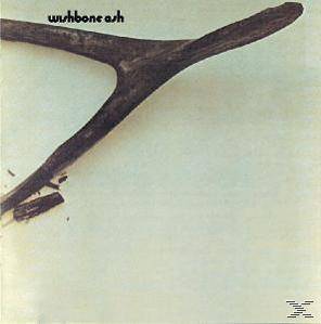 Albumcover. Ein dunkelbraunes Hirschgeweih auf hellbeige Hintergrund. Der Bandname steht oben.