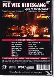 DVD-Cover. Konzert-Trackliste mit 'Pee Wee Bluesgang' und 'Live at Rockpalast'. Band auf der Bühne.