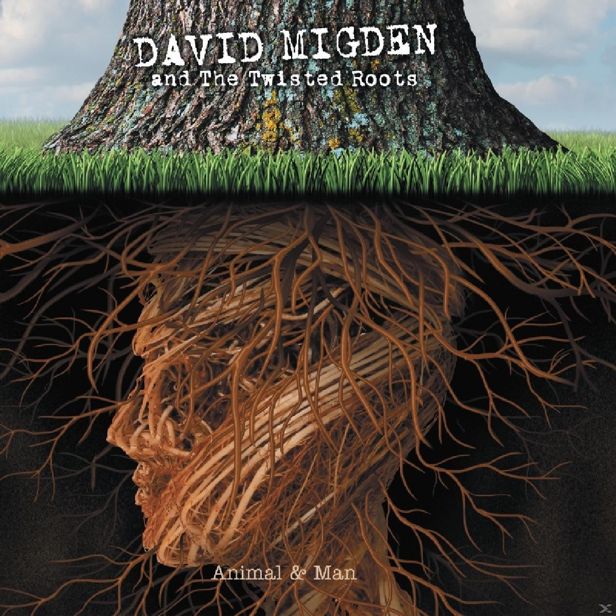 - - (CD) Twisted Migden, David And Man Animal Roots