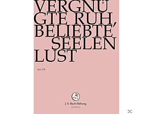 Rudolf Lutz / J.S. Bach-Stiftung - Vergnügte Ruh, Beliebte Seelenlust  - (DVD)
