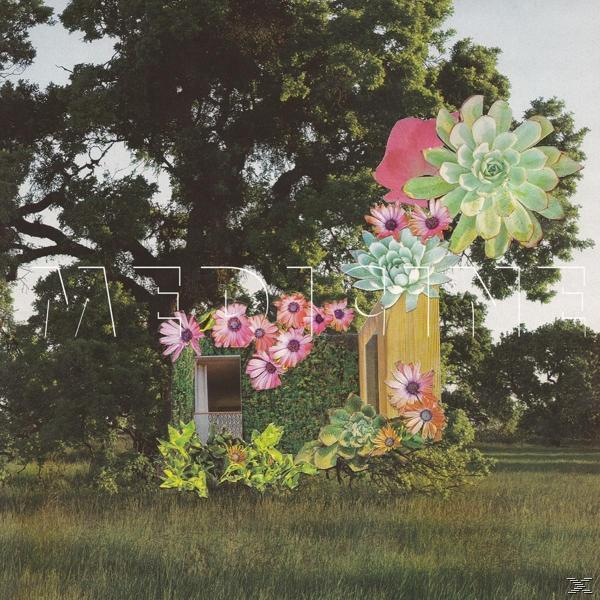 Eine künstlerische Collage mit Blumen und Pflanzen um eine kleine Holzstruktur herum.