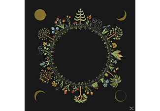 Laura Stevenson - Wheel  - (CD)