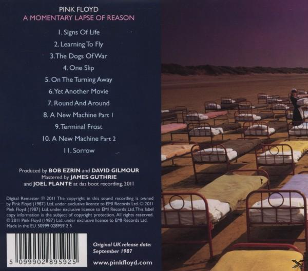 Pink Floyd album borítója ágyakkal a tengerparton.
