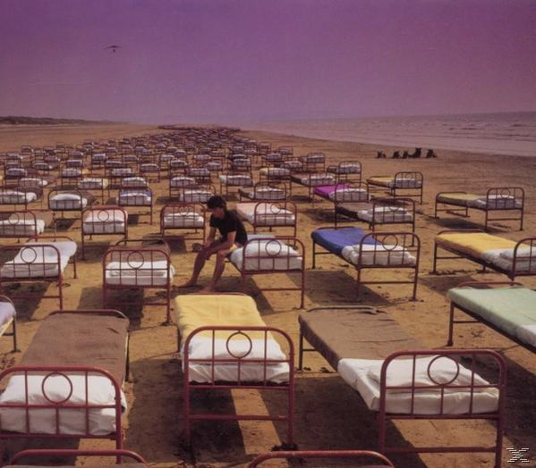 Kép egy strandról sorokba rendezett ágyakkal, egy férfi ül egy ágyon, a háttérben lila égbolt.