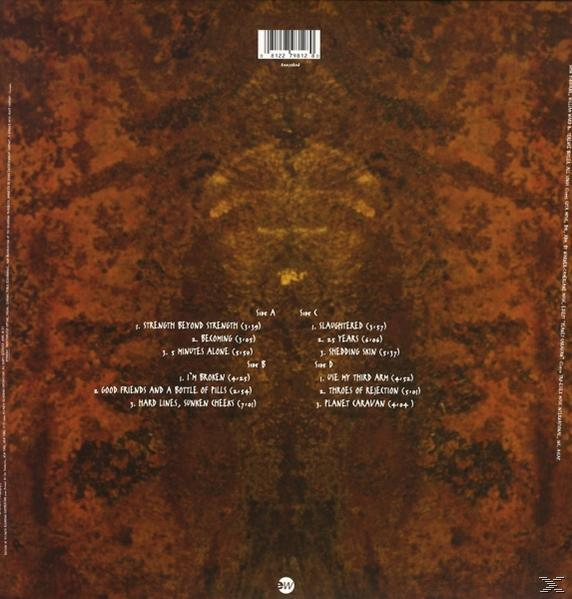 Rückseite einer Schallplatte mit Titellisten und Credits, brauner Hintergrund.