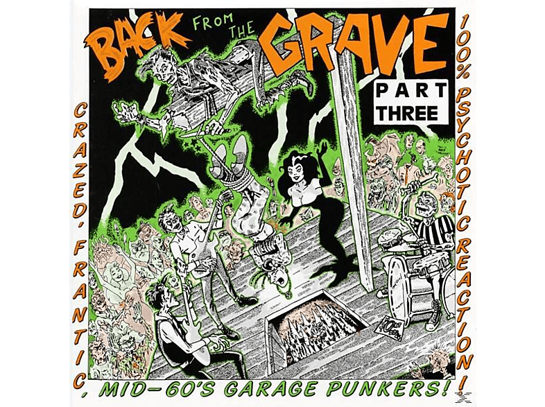 VARIOUS – Vol.3-Back From The Grave – (Vinyl)