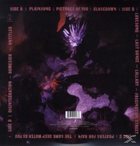 Albumcover mit lila Hintergrund und verschiedenen Songtiteln. Dunkle florale Kunst ist vorhanden.