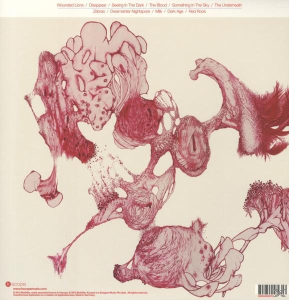 Mothlite - Dark Age (180 Gr.Gatefold)  - (Vinyl)