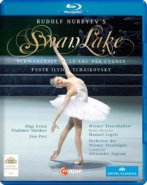 Esina/Shishov/Peci Schwanensee - - (Blu-ray)