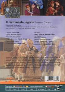 Rinaldi, Forte, - Il (DVD) Matrimonio Forte/Laplace/Pinti/Rinaldi/Caputo/Antonini/+ Segreto Caputo, Antonini, Laplace, - Pinti