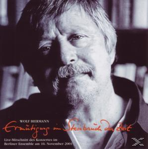 Biermann Wolf - ermutigung im steinbruch der zeit  - (CD)