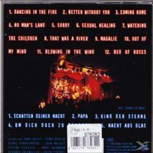 Anne Haigis - Dancing In The Fire  - (CD)