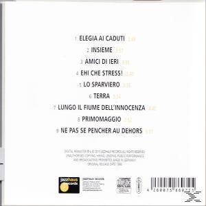Pippo Pollina - Le Pietre Di Montsegur  - (CD)