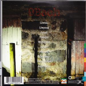CD-tok hátulja. A 'Peach' szó felül. Alatta walesi dalfjímek. Egy vonalkód a bal alsó sarokban.