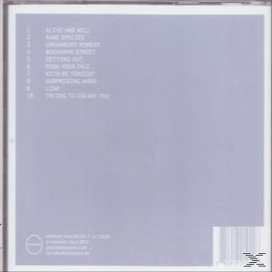 National Jazz Trio Of Scotland - Standards Vol. 3  - (CD)